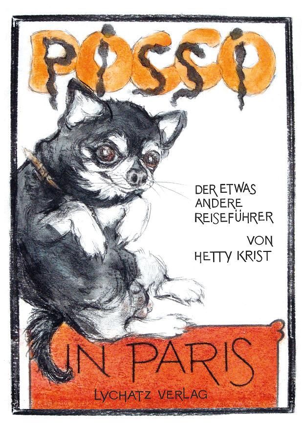 Bezug Pocco.indd